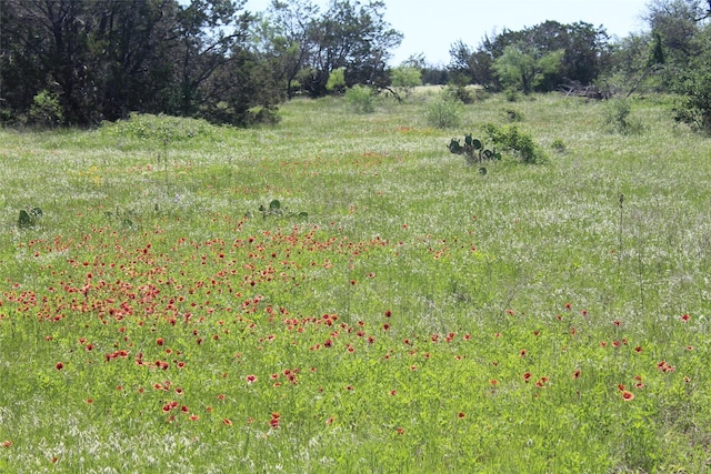 TBD Fm 919, Gordon, TX 76453