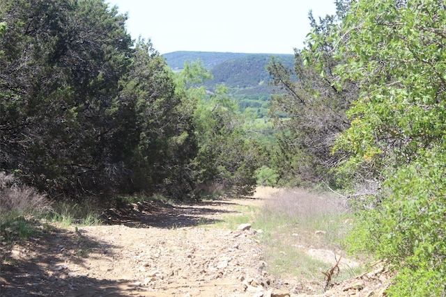 TBD Fm 919, Gordon, TX 76453