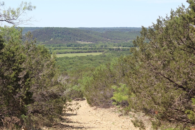 TBD Fm 919, Gordon, TX 76453