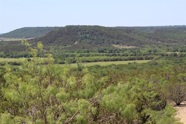TBD Fm 919, Gordon, TX 76453