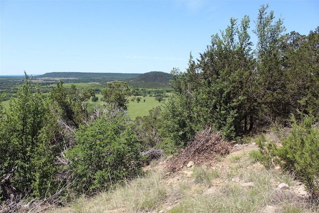 TBD Fm 919, Gordon, TX 76453