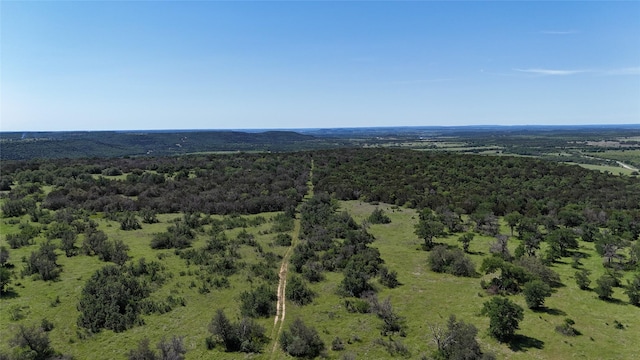 TBD Fm 919, Gordon, TX 76453