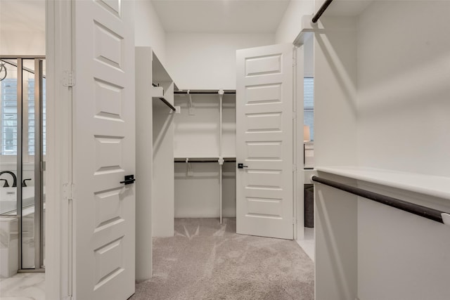12104 Fairway Meadows Dr, Fort Worth, TX 76179 - walk in closet with light colored carpet