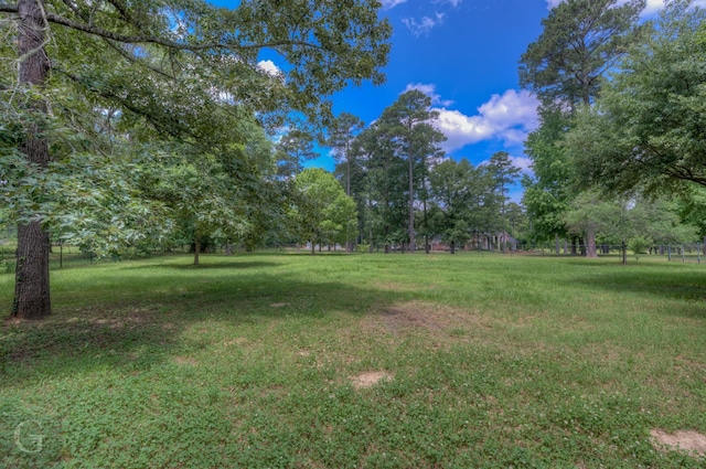 5345 Vermilion Pl, Keithville, LA 71047 - view of yard featuring view of scattered trees
