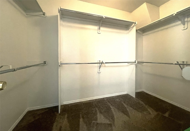 8309 Horse Whisper Ln, Fort Worth, TX 76131 - spacious closet featuring carpet flooring