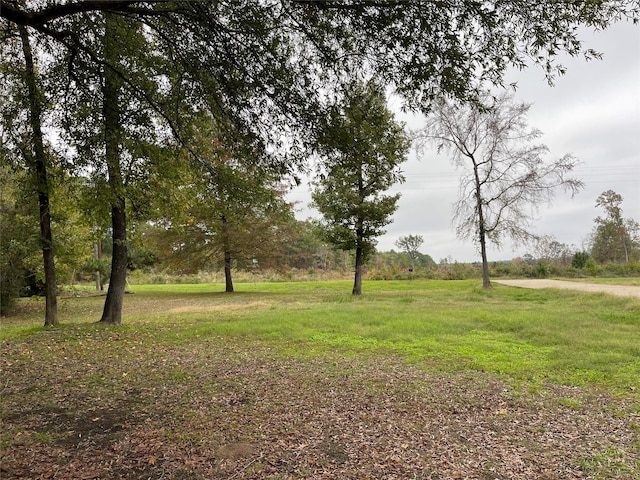 21992 Fm 226, Etoile, TX 75944 - view of yard