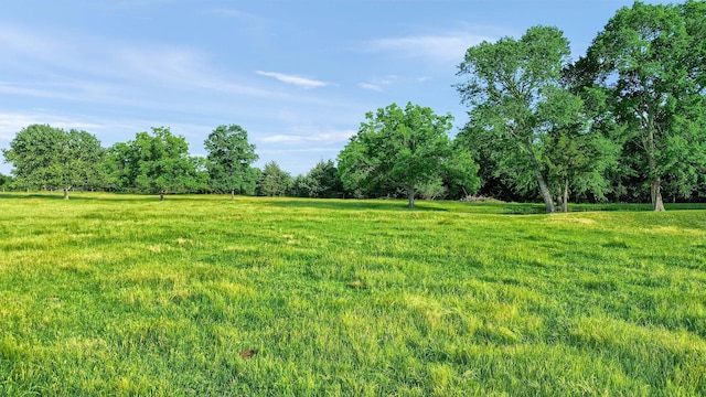TBD Fm 2645, Savoy, TX 75479