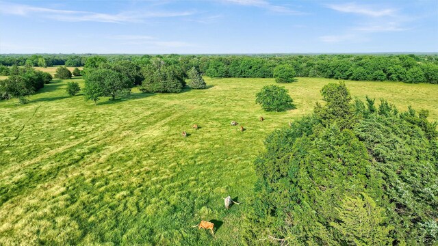 TBD Fm 2645, Savoy, TX 75479