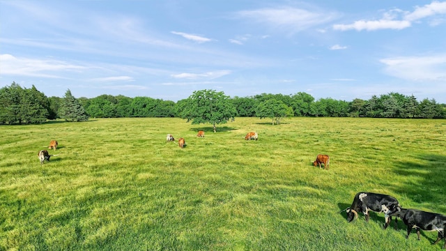 TBD Fm 2645, Savoy, TX 75479