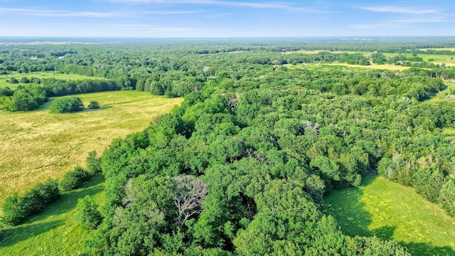 TBD Fm 2645, Savoy, TX 75479
