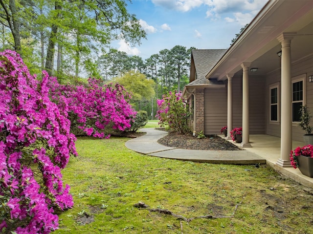 17889 County Road 134, Flint, TX 75762 - view of green lawn