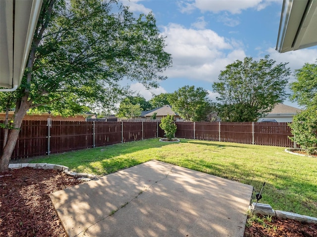 1409 Rivercrest Blvd, Allen, TX 75002 - view of yard featuring a patio area