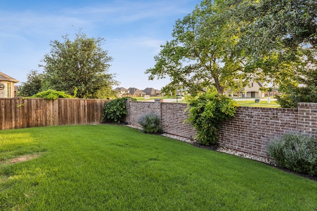10113 Warberry Trl, Fort Worth, TX 76131 - view of yard with a residential view