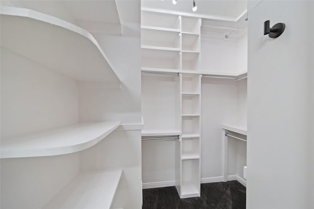 3225 Turtle Creek Blvd Unit 320, Dallas, TX 75219 - view of walk in closet