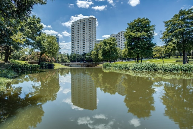 3225 Turtle Creek Blvd Unit 320, Dallas, TX 75219 - water view
