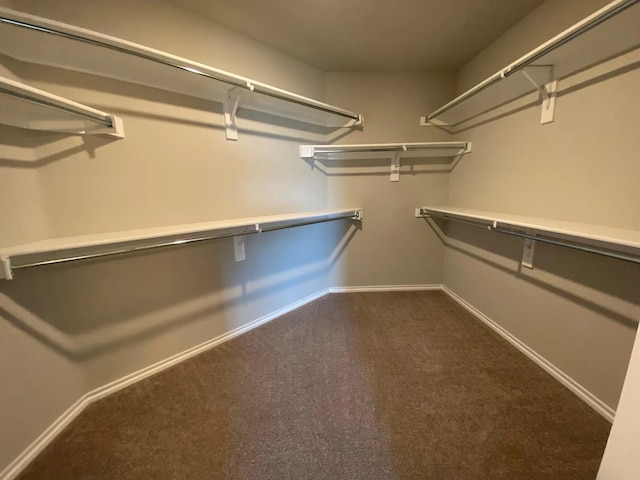 523 Long Pr, Royse City, TX 75189 - spacious closet with dark carpet