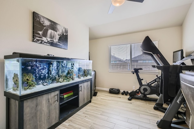 3446 Kirby Ln, Forney, TX 75126 - exercise room with light wood-style floors, ceiling fan, and baseboards