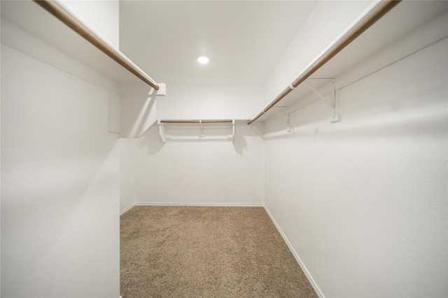 708 Rustic Meadows Trl, Princeton, TX 75407 - spacious closet with carpet