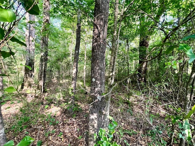 00 Mount Sinai Rd, Summerfield, LA 71038