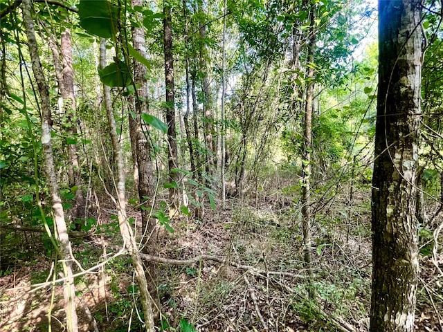 00 Mount Sinai Rd, Summerfield, LA 71038