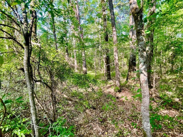 00 Mount Sinai Rd, Summerfield, LA 71038