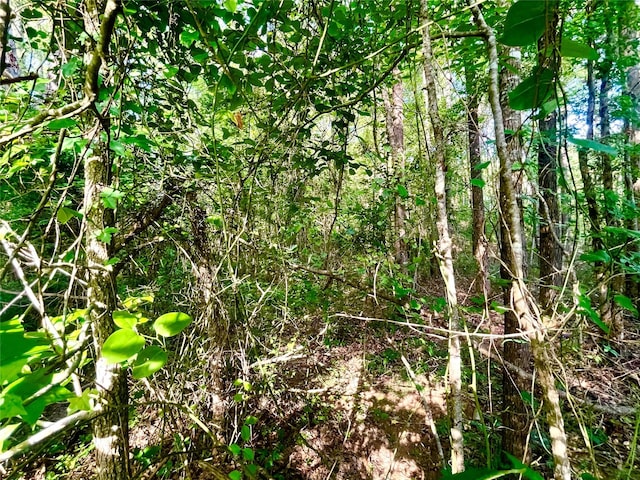 00 Mount Sinai Rd, Summerfield, LA 71038