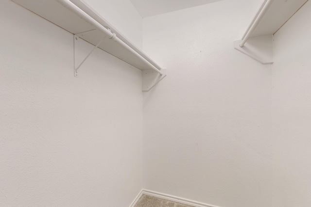1723 Overbrook Dr, Arlington, TX 76014 - walk in closet featuring carpet floors