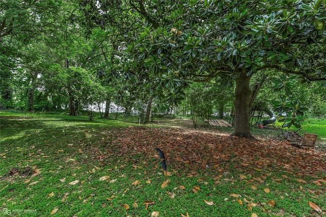 2932 W Cavett Dr, Shreveport, LA 71104 - view of green lawn