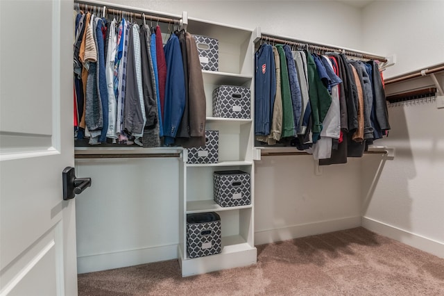 1405 Thunder Dove Dr, Mansfield, TX 76084 - walk in closet with carpet flooring