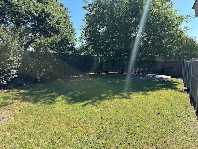 1512 Straus Rd, Cedar Hill, TX 75104 - view of yard
