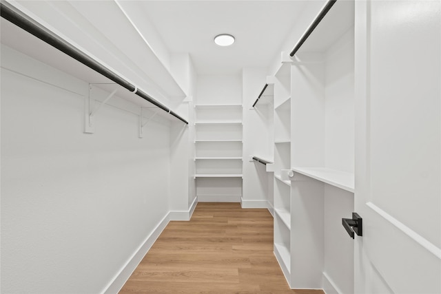 2820 Barnes Bridge Rd, Dallas, TX 75228 - walk in closet with light wood-type flooring