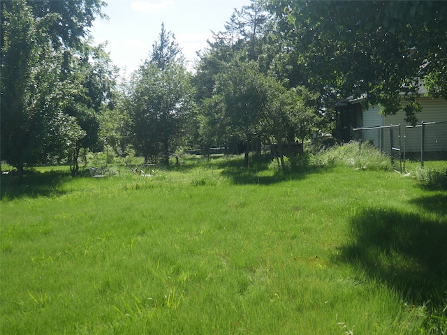3376 Plainview Rd, Sherman, TX 75092 - view of yard
