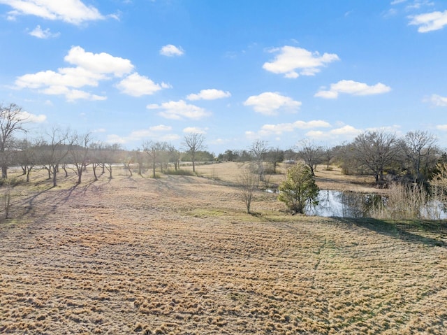 339 County Road 4315, Naples, TX 75568 - view of yard with a water view