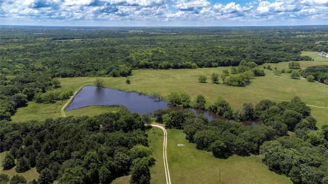 3196 Brooks Ln, Sadler, TX 76264