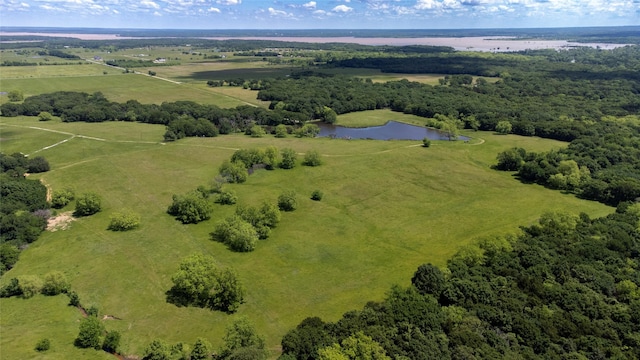 3196 Brooks Ln, Sadler, TX 76264