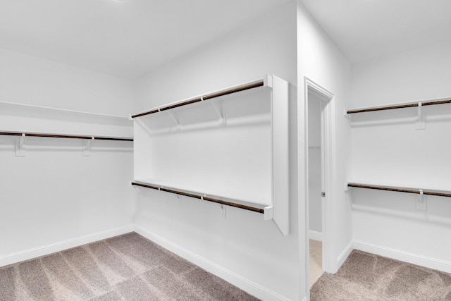 211 Debbie Way, Red Oak, TX 75154 - walk in closet with carpet
