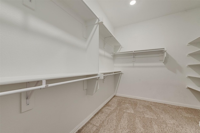 6314 Catalpa Dr, Venus, TX 76084 - walk in closet featuring light carpet