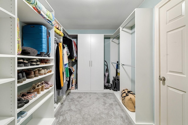 6821 Rochelle Dr, Plano, TX 75023 - spacious closet featuring carpet