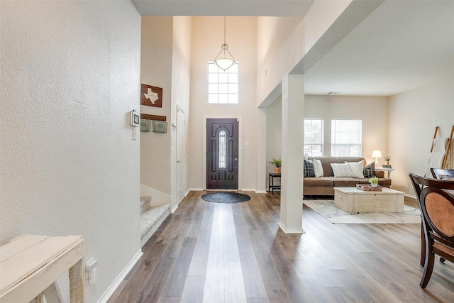9861 Willowick Ave, Fort Worth, TX 76108 - entryway featuring healthy amount of natural light, wood finished floors, a textured wall, baseboards, and a towering ceiling