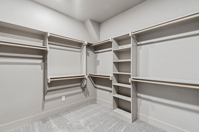 106 Maverick Way, Boyd, TX 76023 - walk in closet with carpet floors