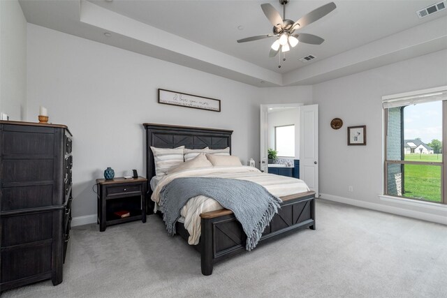 1230 Driftwood Ln, Lucas, TX 75002 - bedroom featuring light carpet, multiple windows, and a raised ceiling