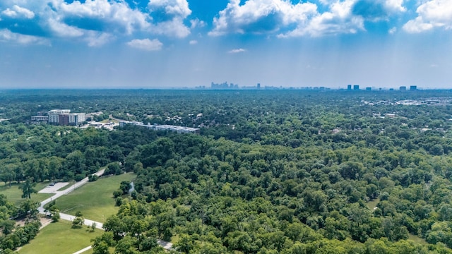 7805 Eagle Trl, Dallas, TX 75238 - view of urban area with a forest