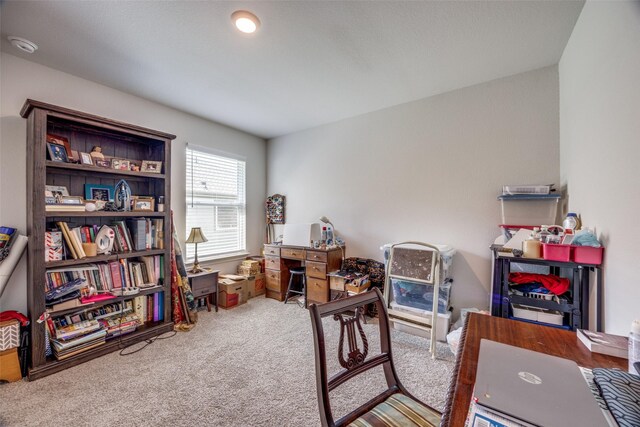 525 Brandy Ln, Tom Bean, TX 75489 - view of carpeted home office