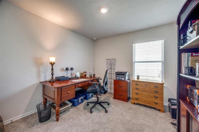 525 Brandy Ln, Tom Bean, TX 75489 - home office with carpet and baseboards