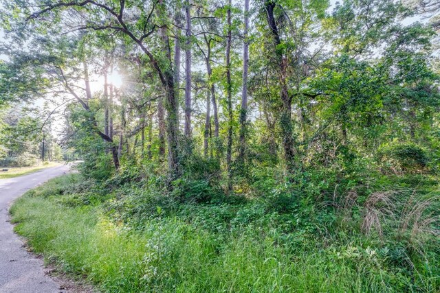 0 Forest Hill Dr, Frankston, TX 75763