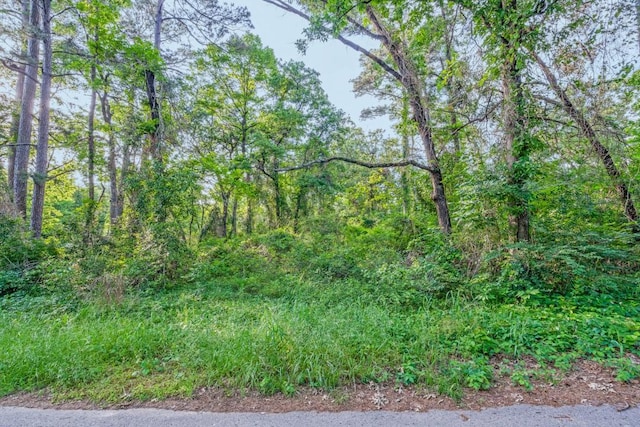 0 Forest Hill Dr, Frankston, TX 75763
