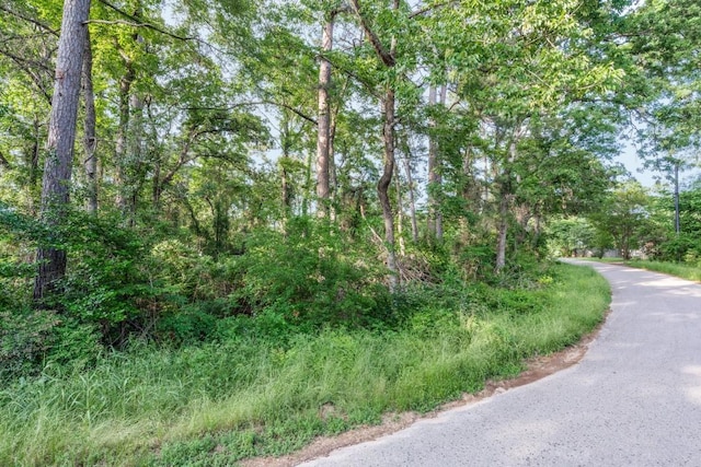 0 Forest Hill Dr, Frankston, TX 75763