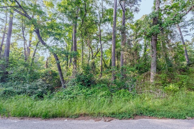 00 Forest Hill Dr, Frankston, TX 75763