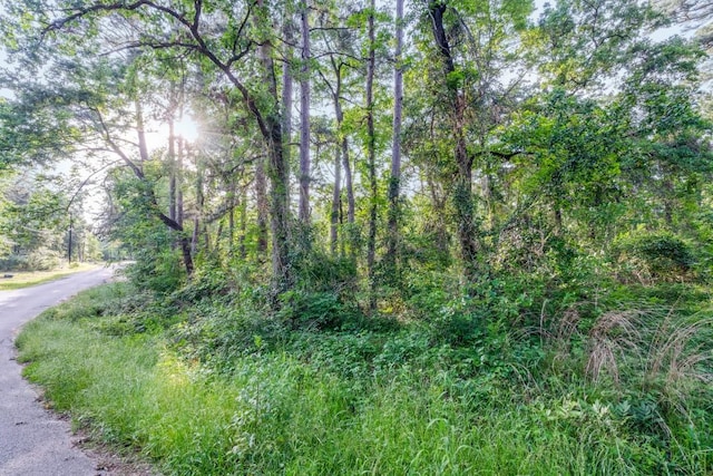 00 Forest Hill Dr, Frankston, TX 75763