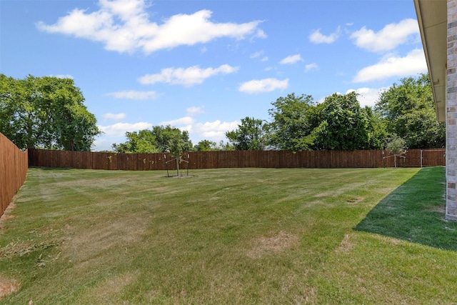 833 Haley, Springtown, TX 76082 - view of yard